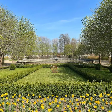 Emil - Barrierefrei Mit Fahrstuhl Und Carport In Ruhiger Altstadtlage Von バレンシュテット