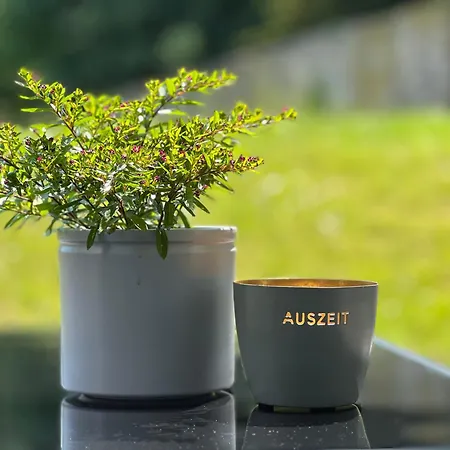 Emil - Barrierefrei Mit Fahrstuhl Und Carport In Ruhiger Altstadtlage Von アパート
