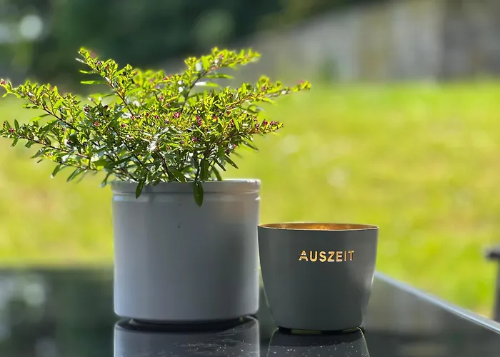 Emil - Barrierefrei Mit Fahrstuhl Und Carport In Ruhiger Altstadtlage Von Apartment