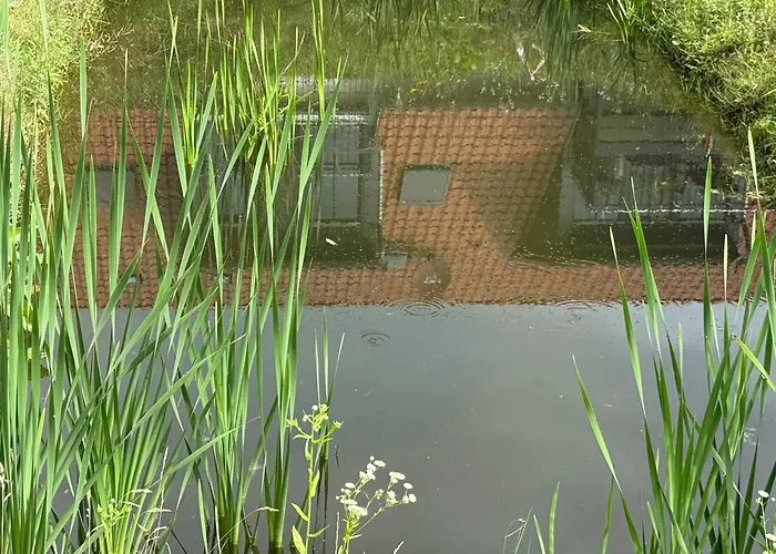 Apartment Emil - Barrierefrei Mit Fahrstuhl Und Carport In Ruhiger Altstadtlage Von Ballenstedt