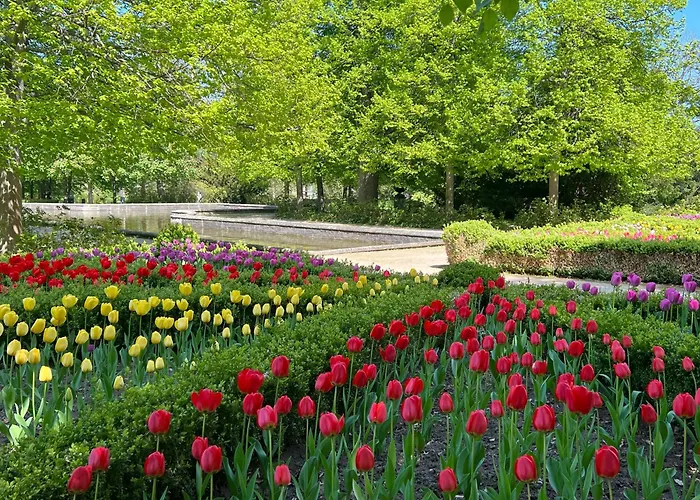 Emil - Barrierefrei Mit Fahrstuhl Und Carport In Ruhiger Altstadtlage Von Apartment *